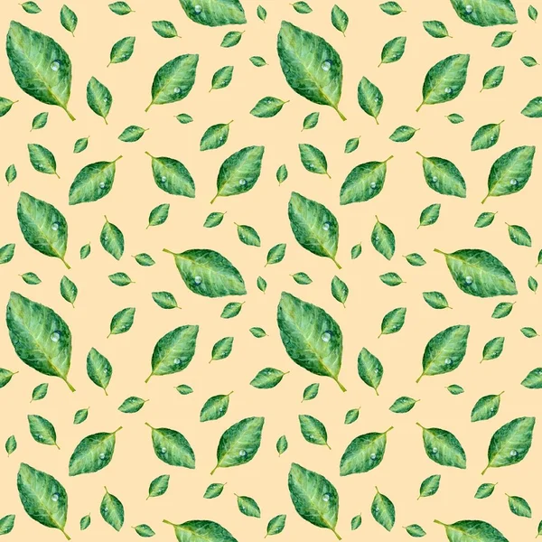 Bladgrönt Med Droppe Sömlöst Mönster Akvarell Illustration Isolerad Beige Bakgrund — Stockfoto