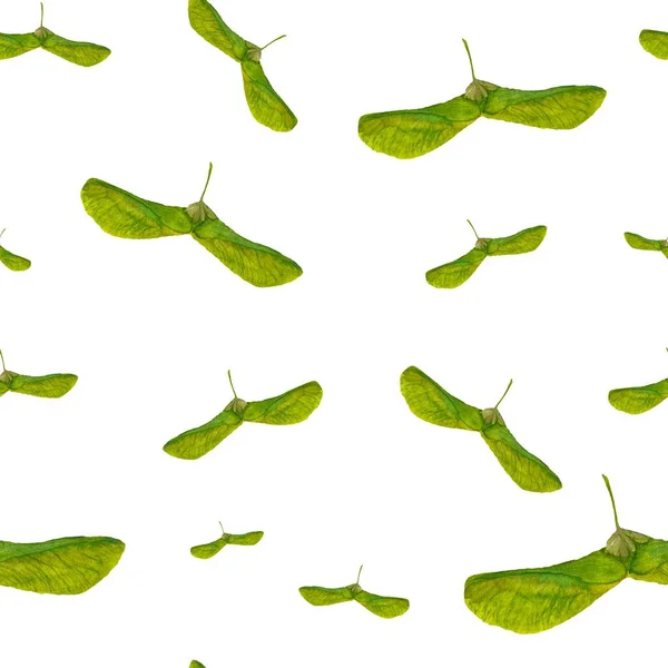 緑のヘリコプターの葉 シームレスなパターン 手描き水彩イラスト 白い背景に隔離されている デザイン 家の装飾 ファブリック プリント テキスタイル カード — ストック写真