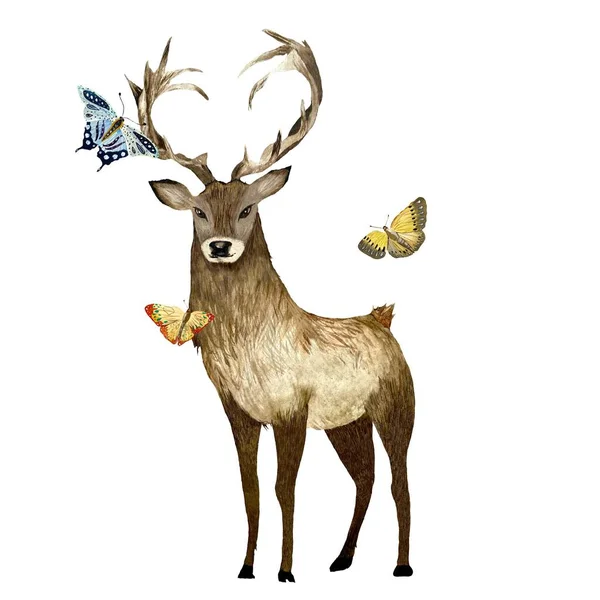 大きな蝶と茶色の鹿 水彩画のイラストをエレガンス 白い背景に隔離されている デザイン 家の装飾 ファブリック プリント テキスタイル カード 招待状 — ストック写真
