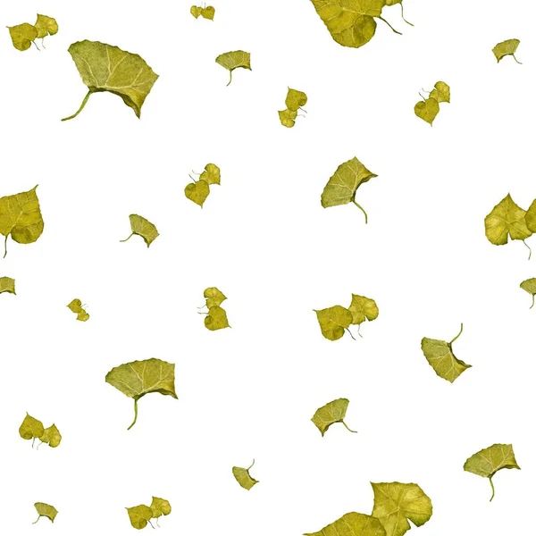 Gröna Blad Sömlösa Mönster Handritad Akvarell Isolerad Illustration Vit Bakgrund — Stockfoto