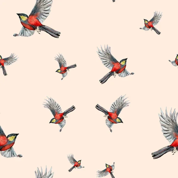 鳥の赤のパターン かわいい水彩イラスト ピンクの背景に描かれた手 デザイン 家庭の装飾 ファブリック プリント テキスタイル カード 招待状 — ストック写真