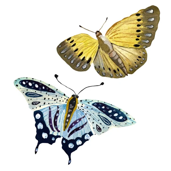 Blue Yellow Butterfly Watercolor Hand Drawn Illustration Isolated White Background — Stock Photo, Image