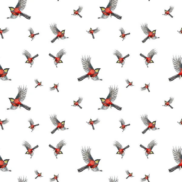 Bird red pattern. Cute watercolor illustration. Hand drawn isolated on white background. Picture for to use in design, home decor, fabrics, prints, textile, cards, invitations, banners, accessories.