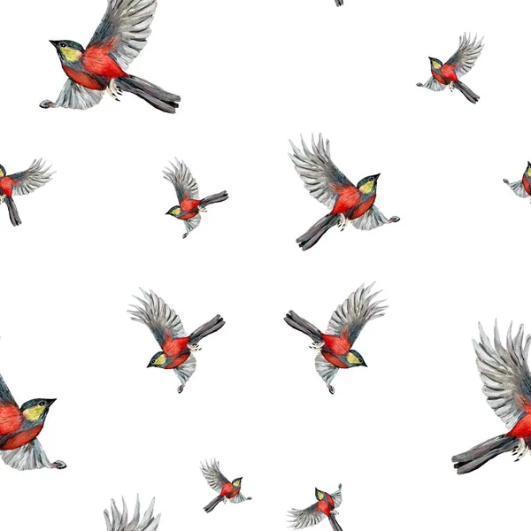 鳥が赤いパターンを飛んでいる 水彩イラスト 白地に描かれた手 デザイン 家庭の装飾 ファブリック プリント テキスタイル カード 招待状 — ストック写真