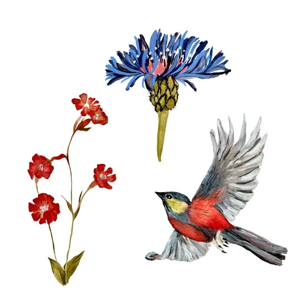 鲜花和鸟类收藏 水彩画 被白色背景隔离 可用于设计 家居装饰 印刷品 纺织品 邀请函 文具的图片 — 图库照片