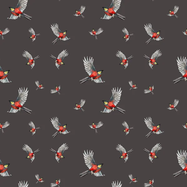 鳥の赤のパターン かわいい水彩イラスト 灰色の背景に描かれた手 デザイン 家庭の装飾 ファブリック プリント テキスタイル カード 招待状 — ストック写真