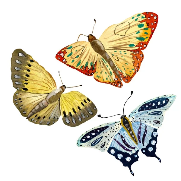Blauer Orange Gelber Schmetterling Eine Aquarellierte Handgezeichnete Illustration Vereinzelt Auf — Stockfoto