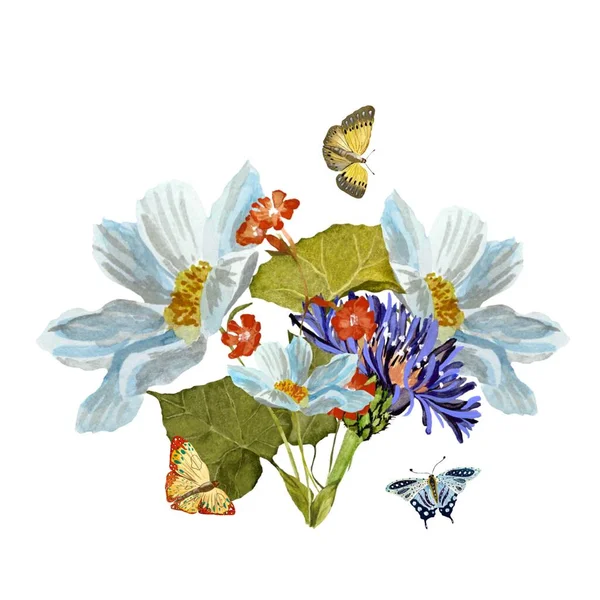 Kytice Sedmikráska Motýl Ilustrace Akvarelů Izolované Bílém Pozadí Obrázek Pro — Stock fotografie