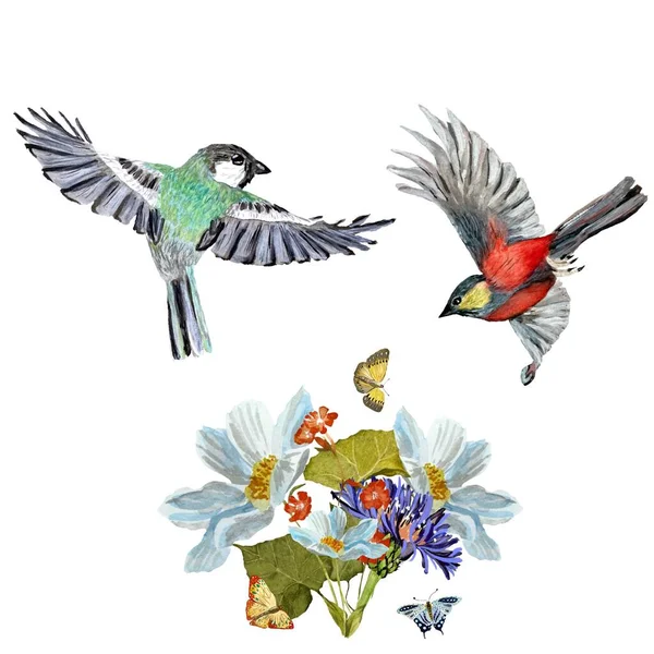 Ramo Flores Mariposa Pájaro Una Ilustración Acuarela Aislado Sobre Fondo —  Fotos de Stock