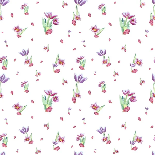 チューリップの赤い紫色のパターンの花束のスケッチ 水彩画です カード ポスター 家の装飾 包装紙 服や布 アクセサリー 文房具にこの高品質の手描きの画像を使用してください — ストック写真