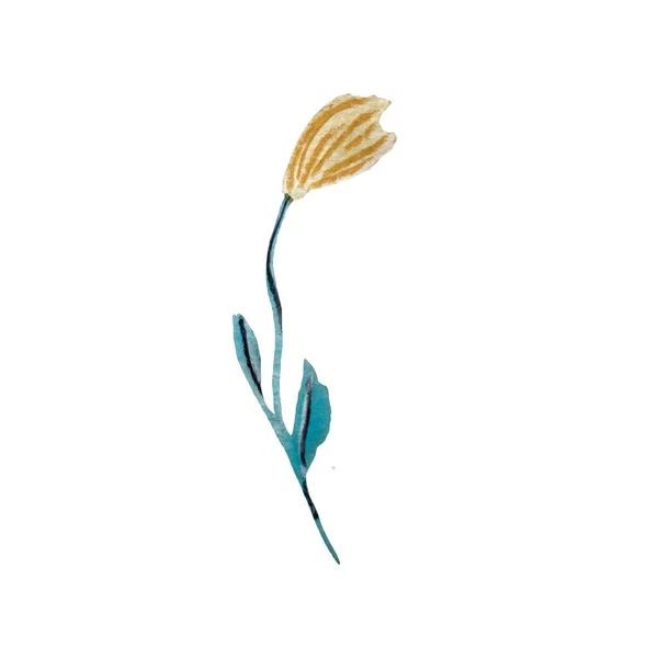 Flor Azul Bege Texturizado Esboço Lápis Uma Ilustração Aquarela Textura — Fotografia de Stock
