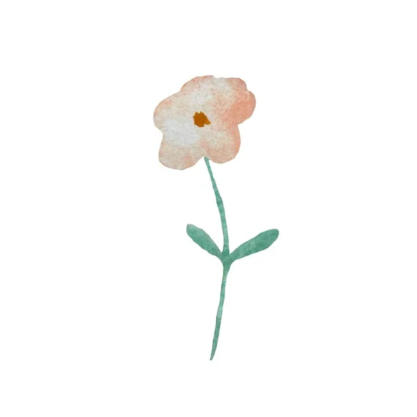 Flower dusty pink cartoon sketch. A watercolor illustration. Hand drawn texture. Isolated white background. For to use in design, fabrics, prints, textile, cards, invitations, banners, coupon, voucher