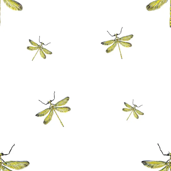 Dragonfly Padrão Amarelo Grande Uma Ilustração Aquarela Textura Desenhada Mão — Fotografia de Stock