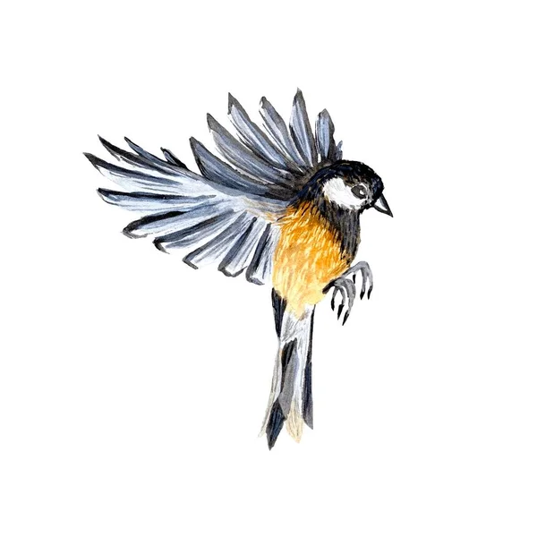 Ptačí Žlutá Létající Roztomilá Kresba Ilustrace Akvarelů Ručně Kreslená Textura — Stock fotografie