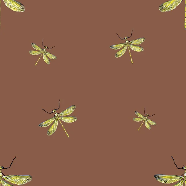 Dragonfly Κίτρινο Μοτίβο Καφέ Εικονογράφηση Ακουαρέλας Χειροποίητη Υφή Απομονωμένο Καφέ — Φωτογραφία Αρχείου