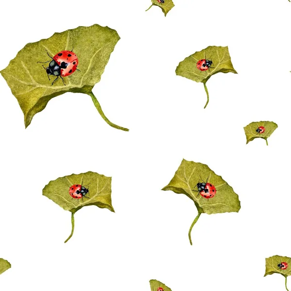 赤い葉の緑のパターンのてんとう虫 水彩イラスト 白地に描かれた手 デザイン 家の装飾 ファブリック プリント テキスタイル カード 招待状 — ストック写真