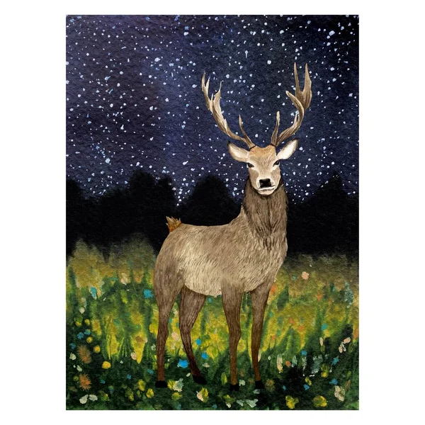Nature Szarvas Éjszakai Mező Háttér Vázlat Egy Akvarell Illusztráció Kézzel — Stock Fotó