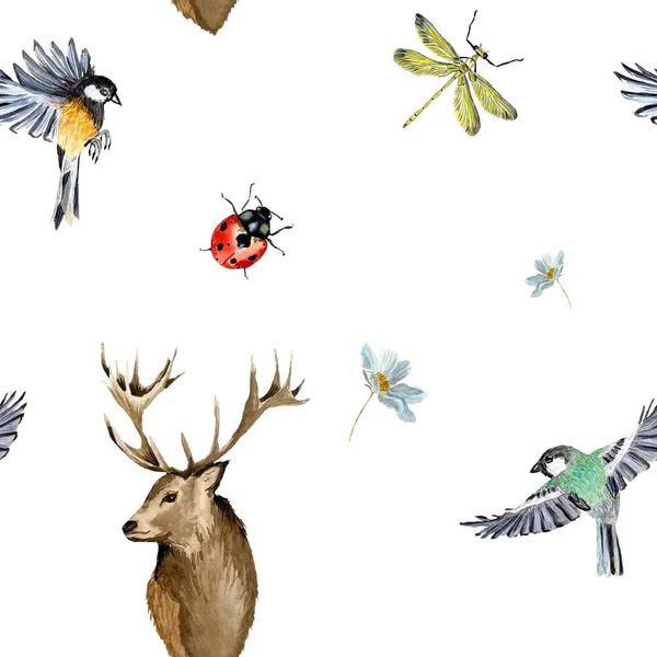 Natur Vogel Hirsch Libelle Marienkäfer Niedliches Muster Eine Aquarell Illustration — Stockfoto