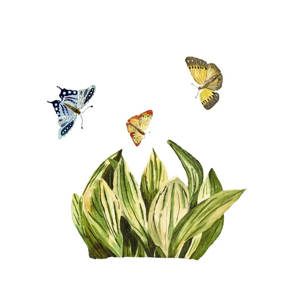 Метелик Бабка Трава Зелено Блакитний Ескіз Акварельна Ілюстрація Рука Намальована — стокове фото