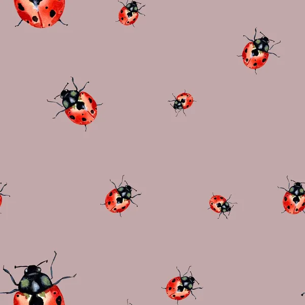Πασχαλίτσα Κόκκινο Μοτίβο Της Φύσης Εικονογράφηση Ακουαρέλας Χειροποίητη Υφή Απομονωμένο — Φωτογραφία Αρχείου