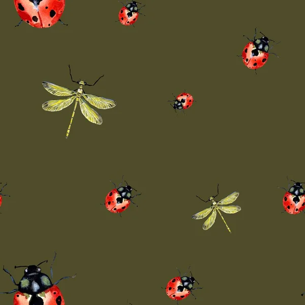 Ladybug Vermelho Libélula Padrão Esboço Uma Ilustração Aquarela Textura Desenhada — Fotografia de Stock