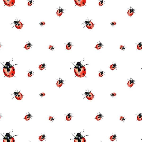 Ladybug Red Nature Cute Pattern Watercolor Illustration Hand Drawn Texture — Stock Photo, Image