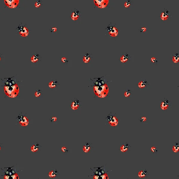 Ладибуг Красный Рисунок Природы Симпатичный Акварель Ручной Рисунок Текстуры Изолирован — стоковое фото
