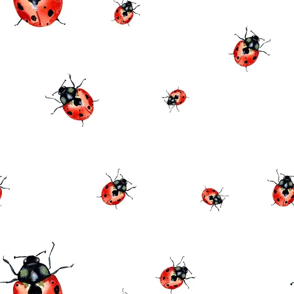 レディーバグの赤い自然パターンのスケッチ 水彩画です 手描きの質感 白い背景に隔離されている デザイン ファブリック プリント テキスタイル カード 招待状 — ストック写真