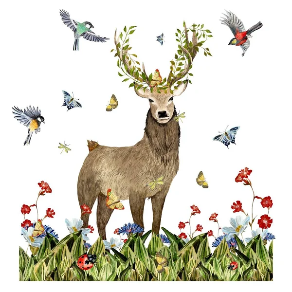 Tráva Květ Jelen Hmyz Pták Liány Skica Ilustrace Akvarelů Ručně — Stock fotografie