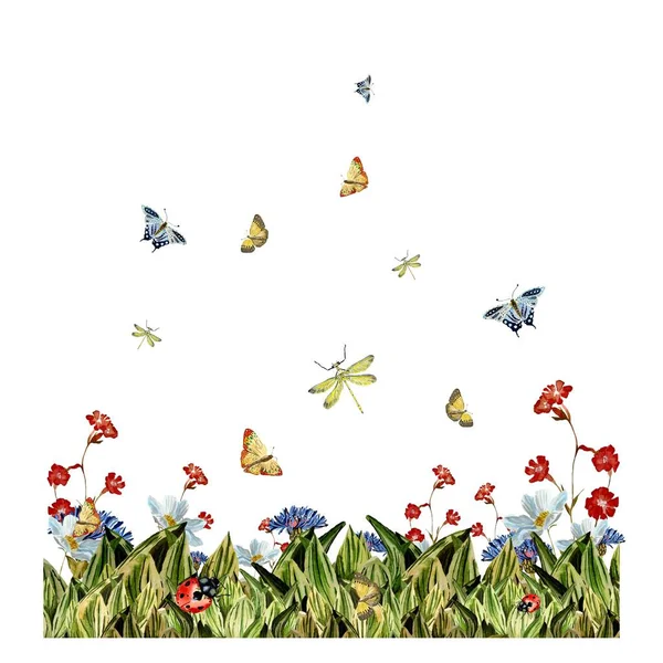 Szitakötő Virág Piros Pillangó Katicabogár Egy Akvarell Illusztráció Kézzel Rajzolt — Stock Fotó