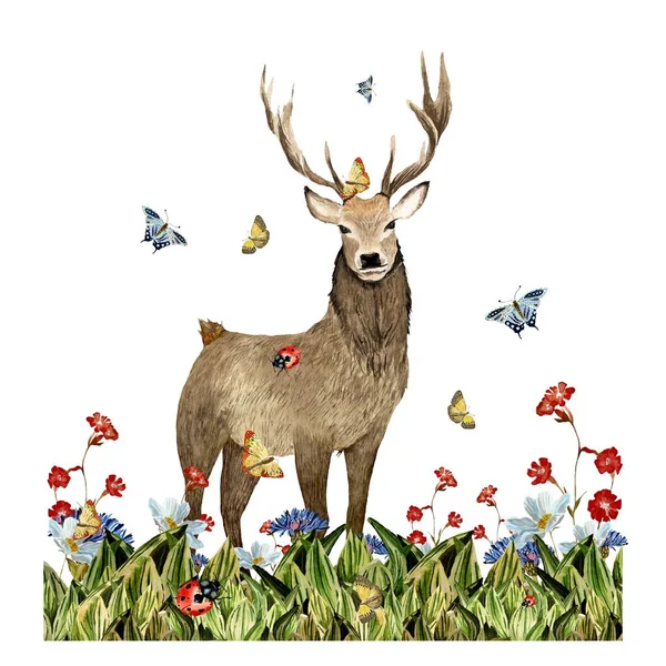 Příroda Tráva Jelen Květ Červená Motýl Skica Ilustrace Akvarelů Ručně — Stock fotografie