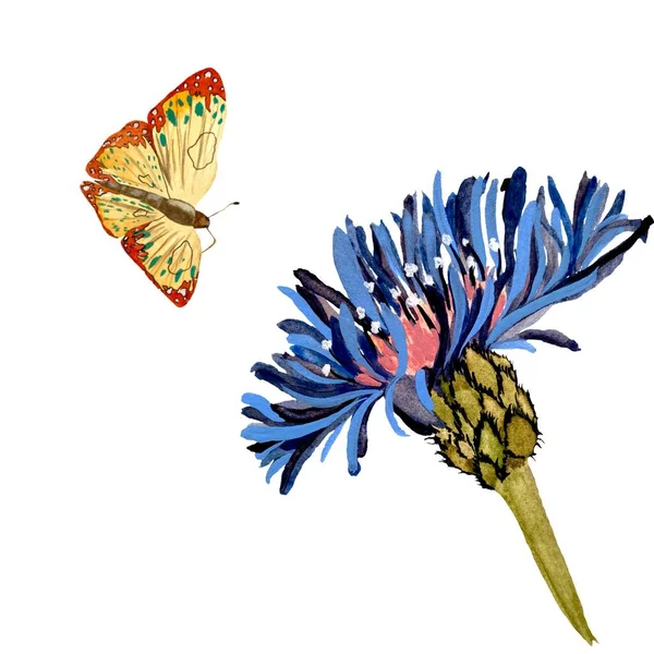 Květinově Modrý Motýlí Žlutý Texturovaný Náčrt Ilustrace Akvarelů Ručně Kreslená — Stock fotografie