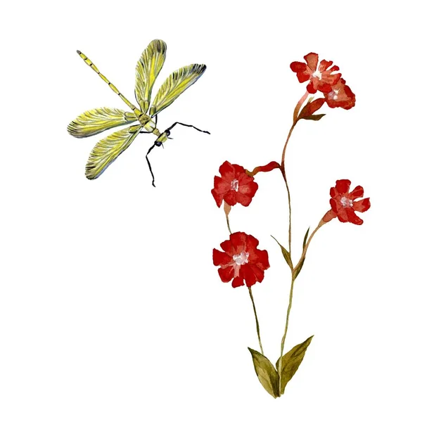Blume Rote Libelle Gelb Textur Skizze Eine Aquarell Illustration Handgezeichnete — Stockfoto