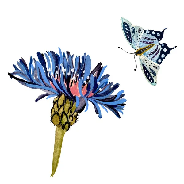 Blume Blauer Schmetterling Strukturierte Skizze Eine Aquarell Illustration Handgezeichnete Textur — Stockfoto