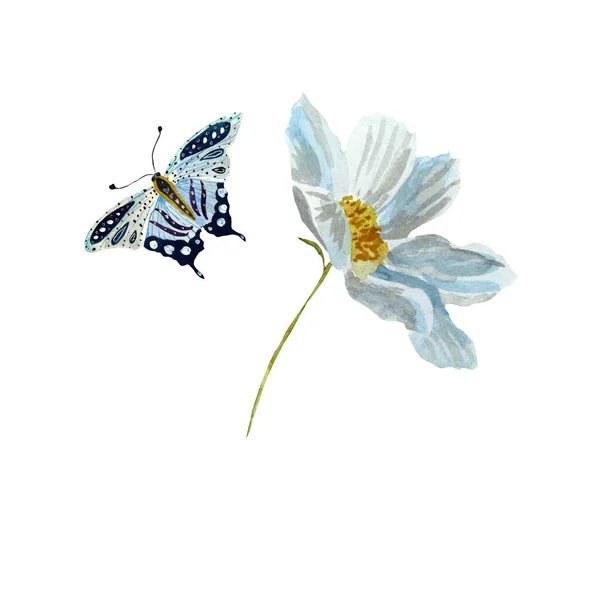 Daisy Butterfly Blue Flower Red Sketch Watercolor Illustration Hand Drawn — Stock Photo, Image