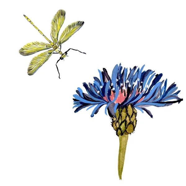 Blume Blaue Libelle Gelbe Textur Skizze Eine Aquarell Illustration Handgezeichnete — Stockfoto