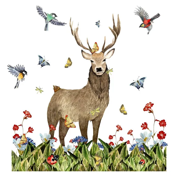 草トンボの花鹿昆虫鳥のスケッチ 水彩画です 手描きの質感と隔離 デザイン ファブリック プリント テキスタイル カード 招待状 バナー — ストック写真