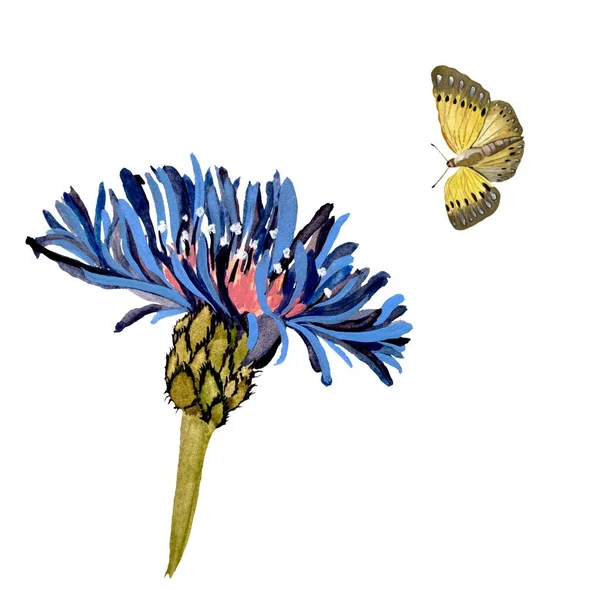 Blume Blauer Schmetterling Gelbe Skizze Eine Aquarell Illustration Handgezeichnete Textur — Stockfoto