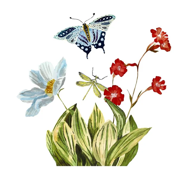 Эскиз Бабочки Травой Голубой Стрекозой Акварель Ручной Рисунок Текстуры Изолированы — стоковое фото