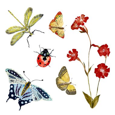 Çiçek kırmızısı kelebek yusufçuk böceği uğur böceği. Suluboya çizimi. El yapımı ve izole edilmiş. Tasarım, kumaşlar, baskılar, tekstil, kartlar, davetiyeler, afişler, kuponlar, kuponlar