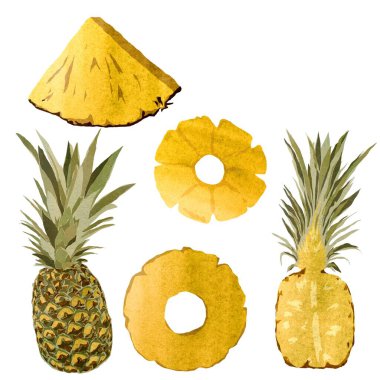 Ananas sarısı, yarım dilim meyve. Suluboya çizimi. El yapımı ve izole edilmiş. Tasarım, kumaşlar, baskılar, tekstil, kartlar, davetiyeler, afişler, kuponlar, kuponlar. 