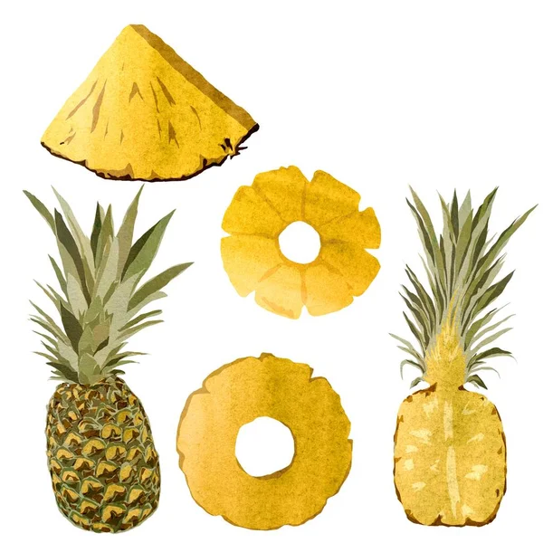 Ananas sarısı, yarım dilim meyve. Suluboya çizimi. El yapımı ve izole edilmiş. Tasarım, kumaşlar, baskılar, tekstil, kartlar, davetiyeler, afişler, kuponlar, kuponlar. 