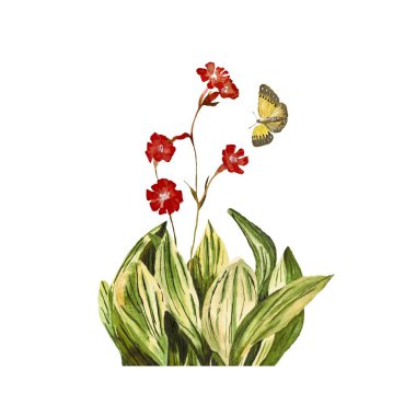 Çiçek kırmızısı, kelebek sarısı çizim. Suluboya çizimi. El yapımı ve izole edilmiş. Tasarım, kumaşlar, baskılar, tekstil, kartlar, davetiyeler, afişler, kuponlar, kuponlar. 