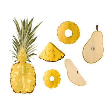 Ananas armudu yarım dilimlenmiş çizim. Suluboya çizimi. El yapımı ve izole edilmiş. Tasarım, kumaşlar, baskılar, tekstil, kartlar, davetiyeler, afişler, kuponlar, kuponlar. 