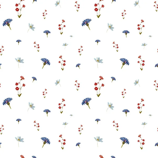 Flower blue red daisy pattern sketch. A watercolor illustration. Hand drawn texture and isolated. For to use in design, fabrics, prints, textile, cards, invitations, banners, coupons, vouchers.