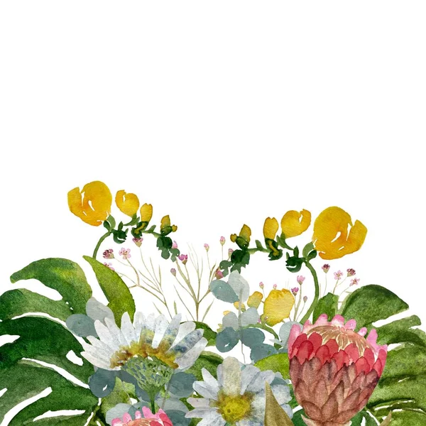 Flower protea daisy palm leaves border. A watercolor illustration. Hand drawn texture, isolated white background. For use in design, fabrics, prints, textile, cards, invitations, banners, coupons.