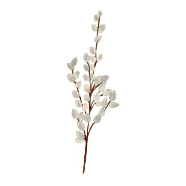 Söğüt dalı Paskalya eskizi. Suluboya çizimi. El çizimi, izole edilmiş beyaz arka plan. Tasarım, kumaşlar, baskılar, tekstil, kartlar, davetiyeler, afişler, kuponlar için. 