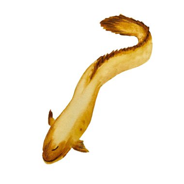 Yılan balığı sarısı okyanus hayvanlarının robot resmi. Issız bir suluboya resim. El çizimi. Beyaz arka planda. Tasarım, ev, kumaş, baskı, tekstil, kartlar, davetiyeler, afişler, aksesuarlar için resim.