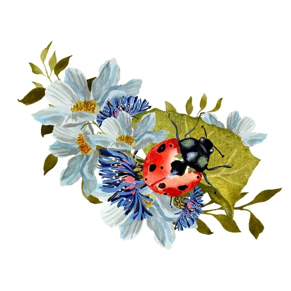 Flower daisy red ladybug leaves liana sketch. A watercolor illustration. Hand drawn texture and isolated. For to use in design, fabrics, prints, textile, cards, invitations, banners, coupons, vouchers