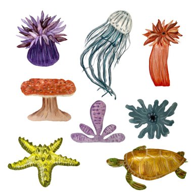 Jellyfish coral turtle starfish ocean sketch. A watercolor isolated illustration. Hand drawn. On white background. Picture for design, home, fabrics, prints, textile, cards, invitations, banner. 